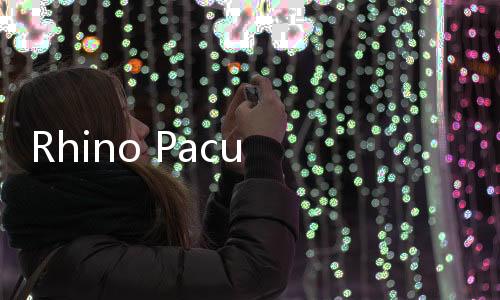 Rhino Pacu Ekosistem Fashion Printing Lokal, Incar UMKM dan Pasar Global