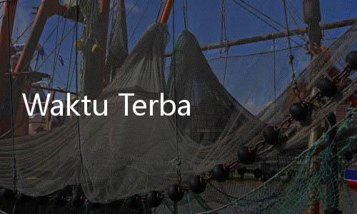 Waktu Terbaik Minum Air Kelapa yang Bisa Bantu Turun Berat Badan